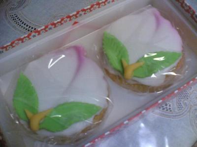 20090303.jpg