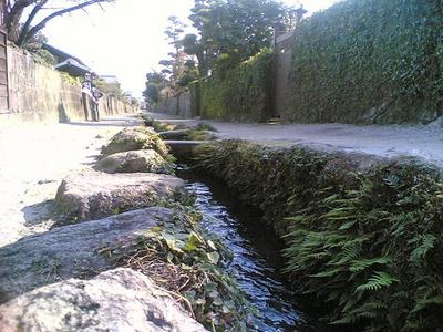 20090301.jpg